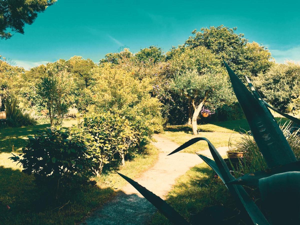 Quinta Das Almas Сан-Роки-ду-Пику Экстерьер фото